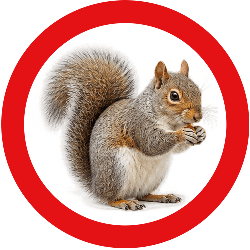 wildlife-service-button Wildlife Control Vancouver | Eastside Pest Exterminators